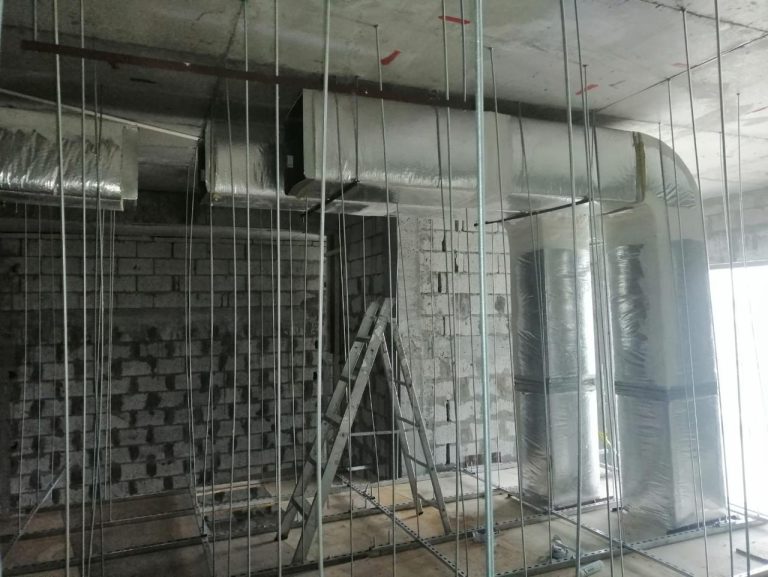 WhatsApp Image 2025-12-16 at 11.53