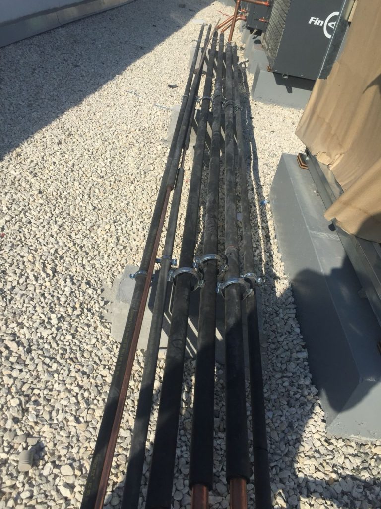 WhatsApp Image 2025-12-16 at 11.53