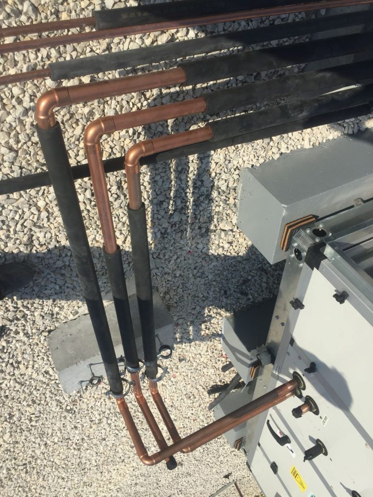 WhatsApp Image 2025-12-16 at 11.53